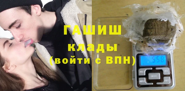 ПСИЛОЦИБИНОВЫЕ ГРИБЫ Козловка