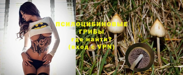 хмурый Коряжма