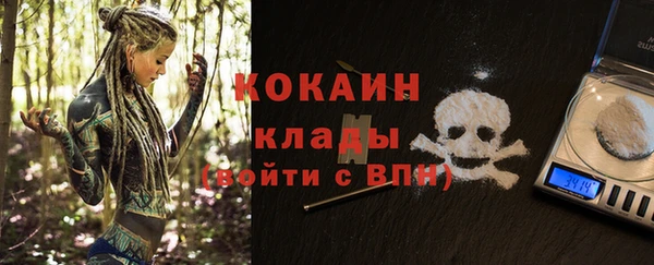 ALPHA PVP Костерёво